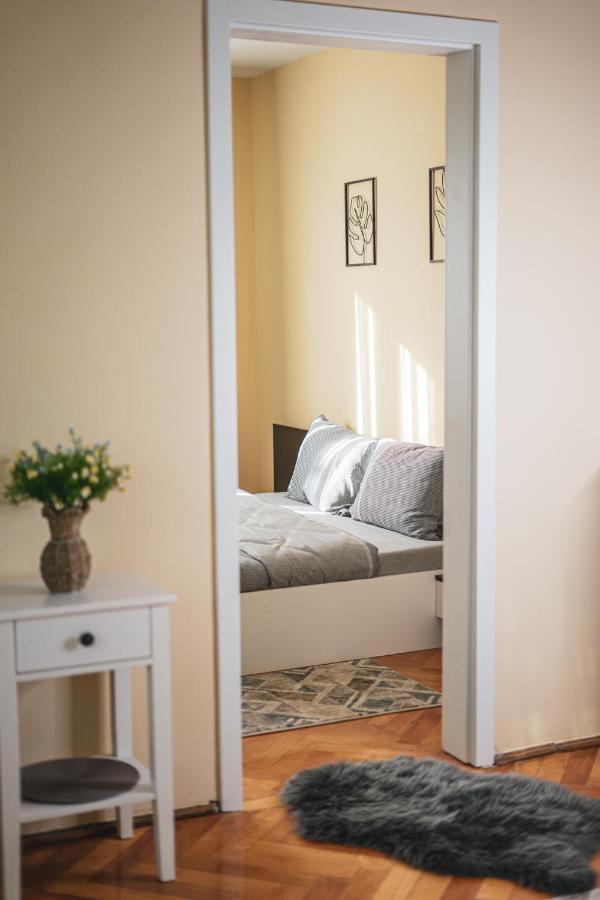 Central And Modern Apartment With Free Parking Timisoara Bagian luar foto