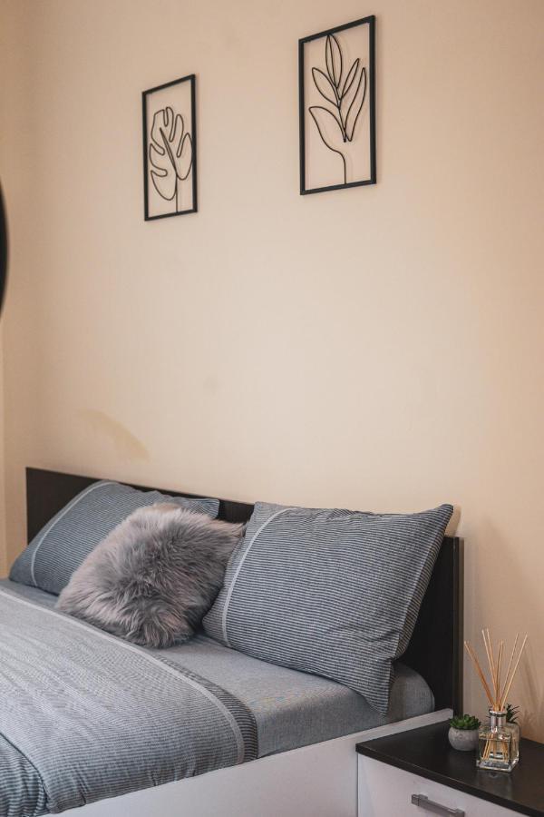 Central And Modern Apartment With Free Parking Timisoara Bagian luar foto