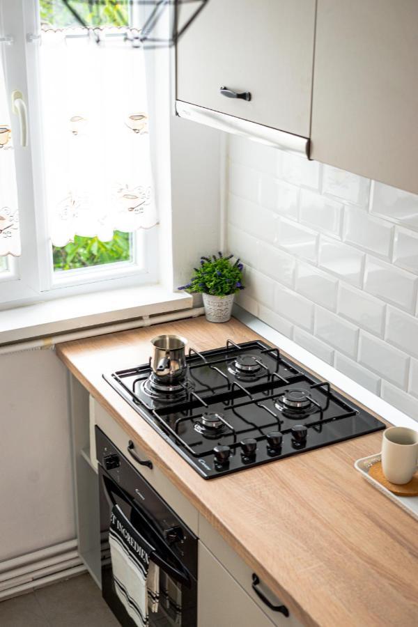 Central And Modern Apartment With Free Parking Timisoara Bagian luar foto